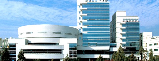 A Reflection on Translating Jeung San Do’s Teachings