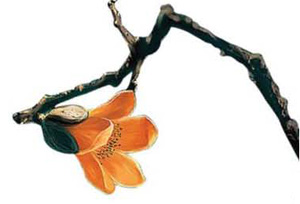 il-ParadiseOfImmortality